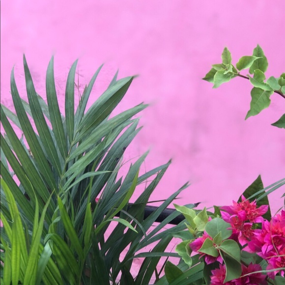 Meet your Posher, Bari - Picture 1 of 1